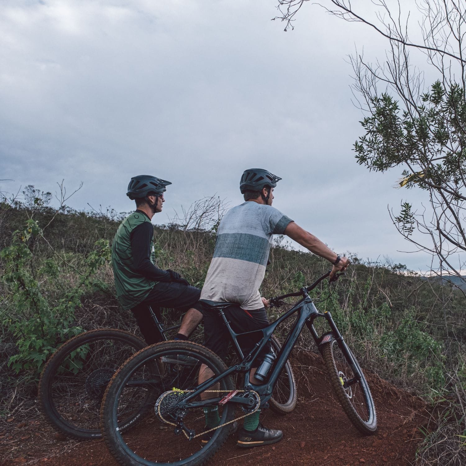História - projeto trilhas