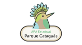 logo apa estadual