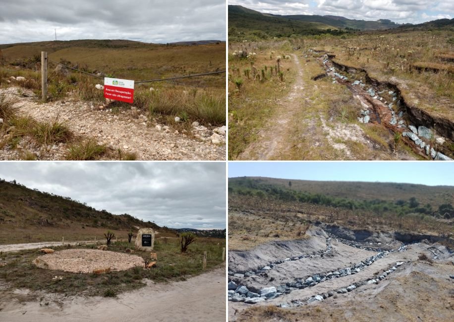 projeto trilhas - recuperação ambiental - esg