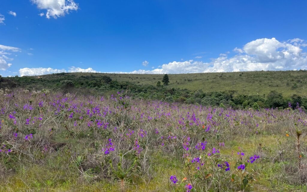 trilhas em serra da calçada