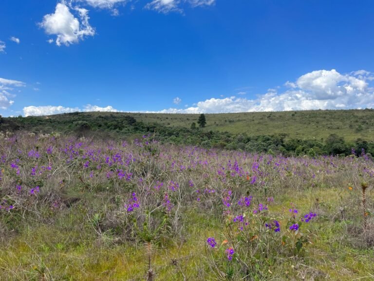 trilhas em serra da calçada