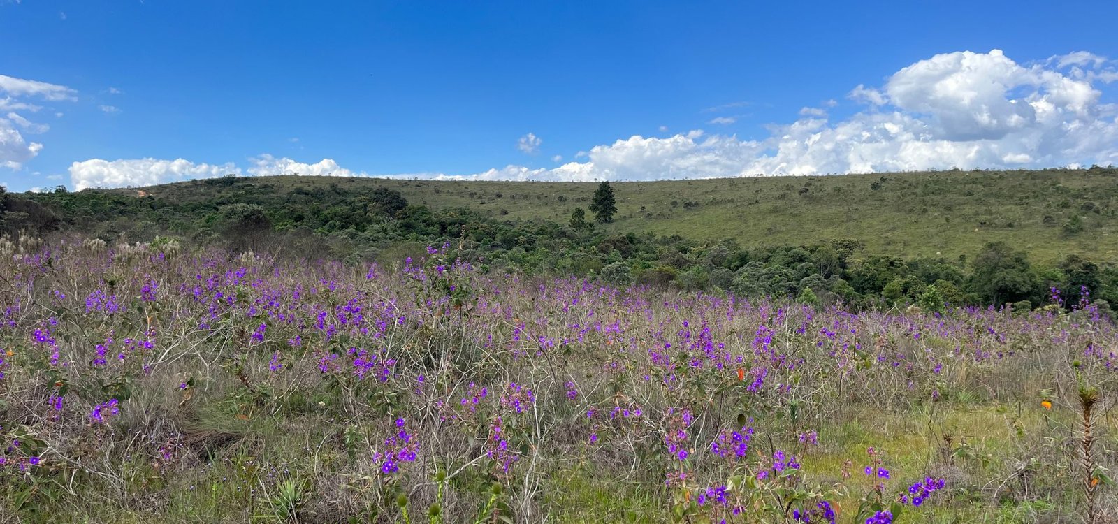 Serra da Calçada